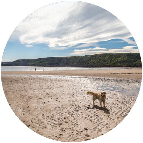 Staithes Beach